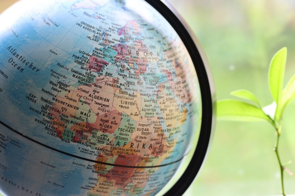 africa, growth, development, plant, light, boom, business, stock exchange, globe, world map, map of the world, world, nature, continent, earth, geography, map, europe, world market