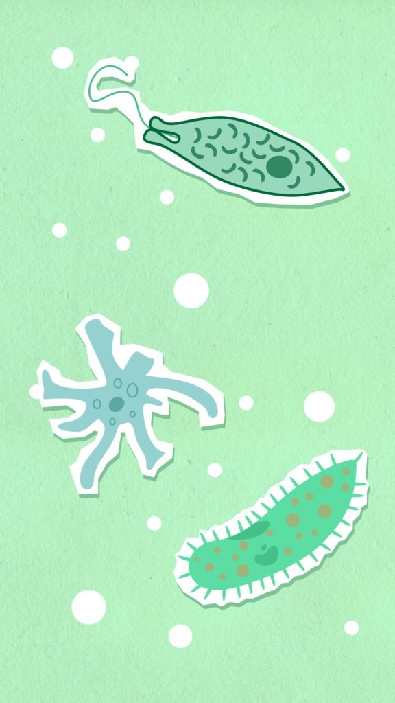 From above of decorative cardboard illustration representing different aquatic creatures in capsules with nuclei